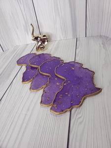 Africa Coasters